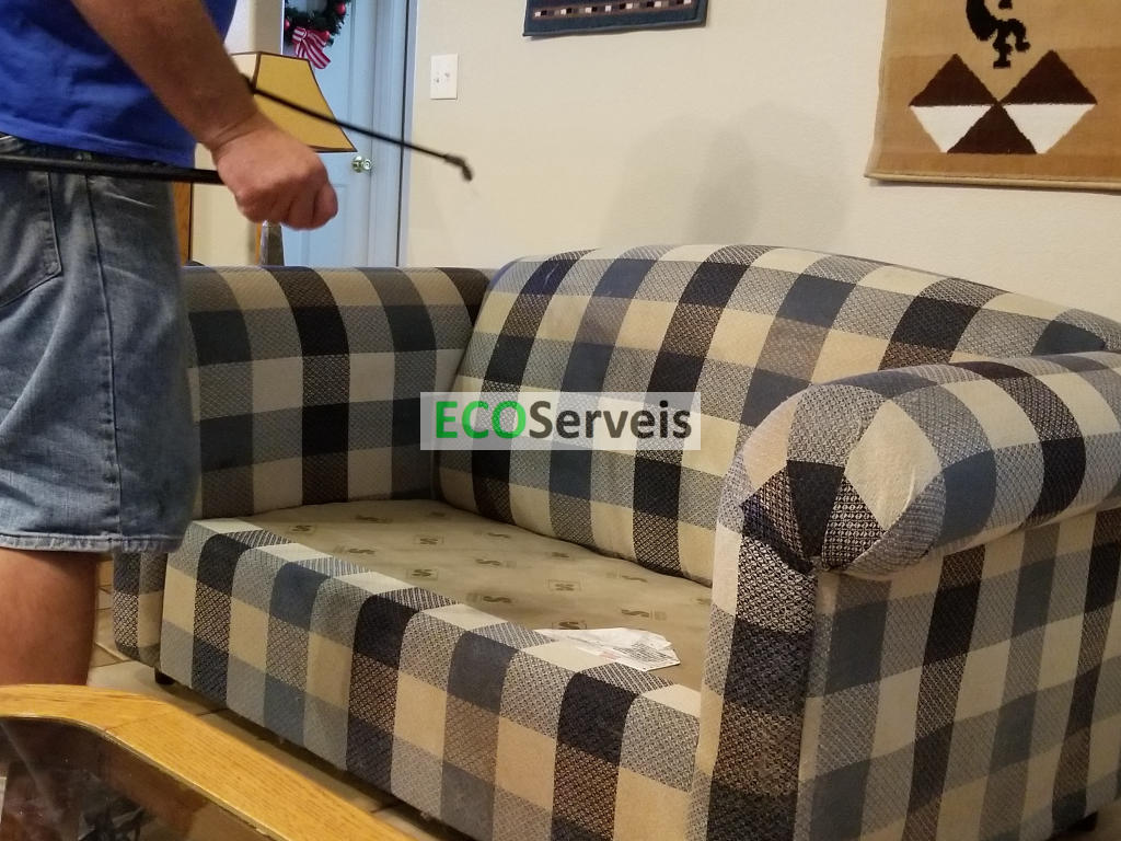 Servicios personalizados de vaciado de pisos en Onil con EcoServeis